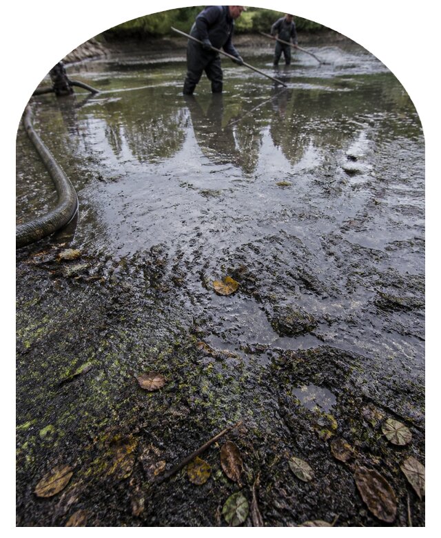 Очистка пруда в Нижнекамске от ила мусора и водорослей с вывозом